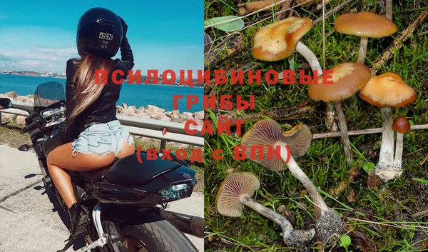 прущий лед Горняк