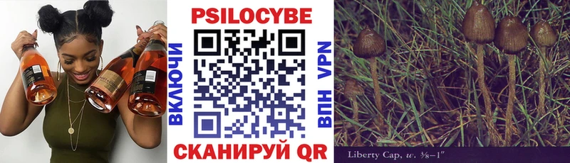 Галлюциногенные грибы Cubensis  Купить где  Печоры 